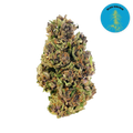 Blue Orchid CBD Organic Hemp Flower 3.5g