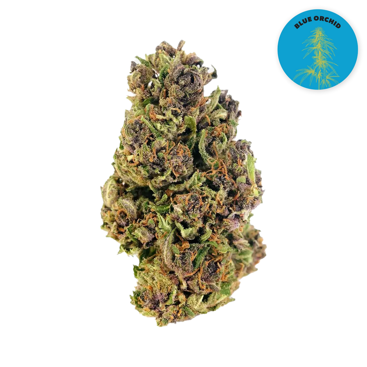 Blue Orchid CBD Organic Hemp Flower 3.5g