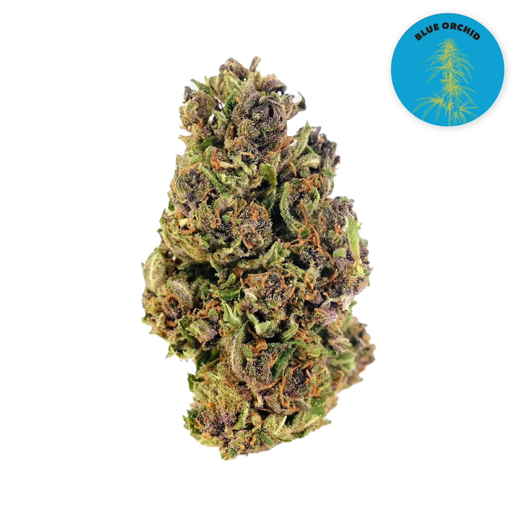 Blue Orchid CBD Organic Hemp Flower 3.5g