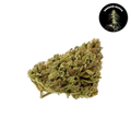 Oregon Guava CBD Organic Hemp Flower 3.5