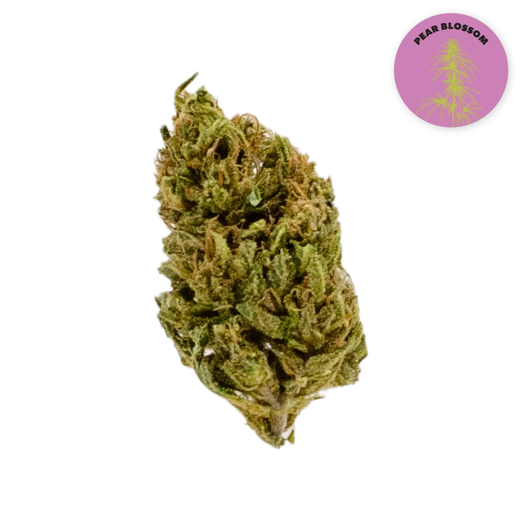 Pear Blossom CBD Organic Hemp Flower 3.5
