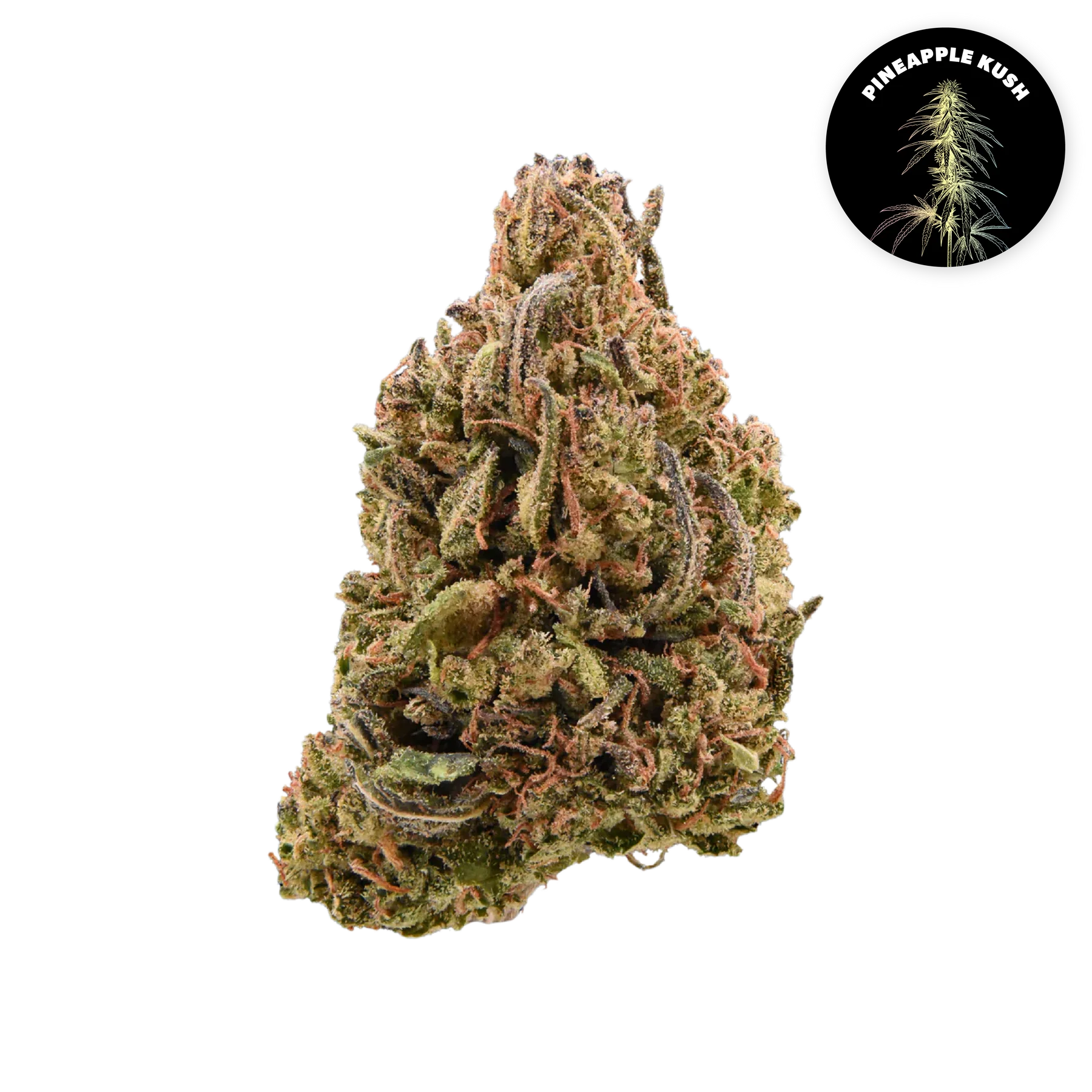 Pineapple Kush CBD Organic Hemp Flower 3.5g