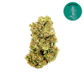 White CBG Organic Hemp Flower 3.5g
